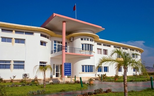 Le Maroc élabore son référentiel national des plantes médicinales et aromatiques