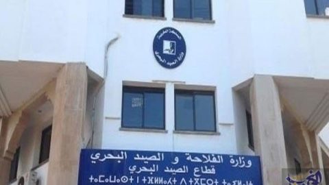 Maroc: Akhannouch prend soin du miel et du lait de chèvre de Tan Tan