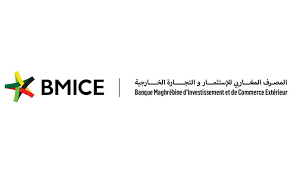Exclusif. Le Marocain Said Berbale nouveau DG de la Banque Maghrébine d’Investissement et de Commerce Extérieur (BMICE)