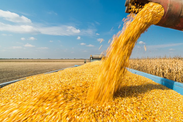 Quinze ans après le Maroc Plan Vert, le royaume a importé en mars un demi-million de tonnes de blé de l’étranger