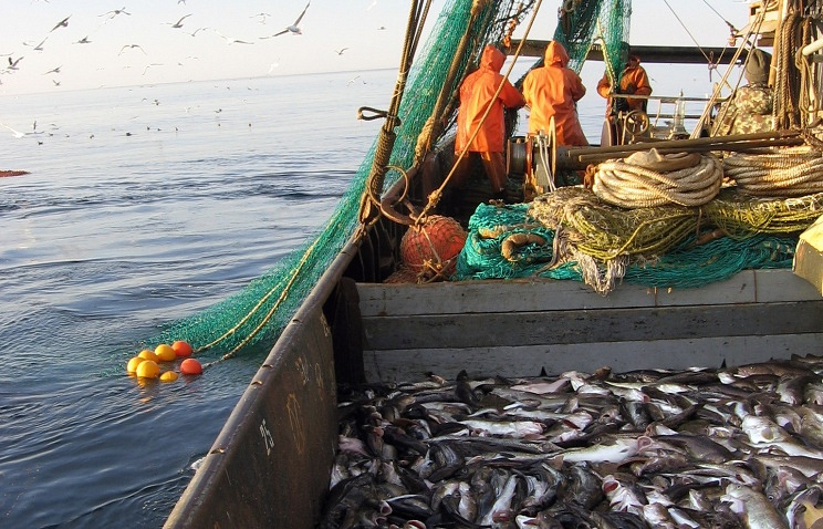 Pêche maritime: Moscou et Rabat filent le grand amour