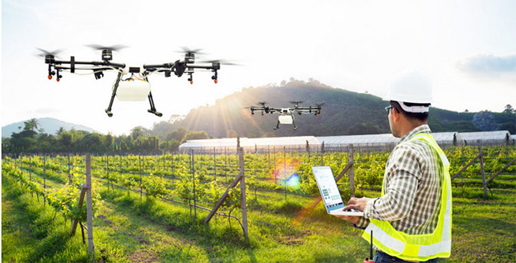 Transformation digitale du secteur agricole au Maroc: la première étude confiée au groupement Compétences conseil et DIGIUP