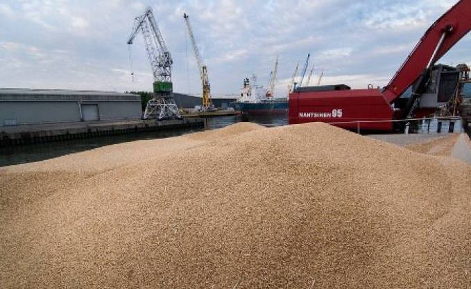 Le Maroc cherche à acheter 2,5 millions de tonnes de blé pour juillet-septembre sur le marché international