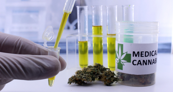 Israël oppose au Maroc une farouche concurrence sur le marché européen du cannabis médical