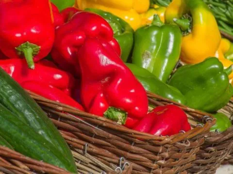 Coup dur : L’Allemagne retire de son marché des poivrons marocains pour excès de pesticides !