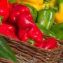 Coup dur : L’Allemagne retire de son marché des poivrons marocains pour excès de pesticides !