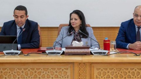 Maroc. Avec Amine El Mezouaghi à sa tête, le gouvernement a-t-il signé l’arrêt de mort de l’ADD