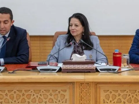 Maroc. Avec Amine El Mezouaghi à sa tête, le gouvernement a-t-il signé l’arrêt de mort de l’ADD