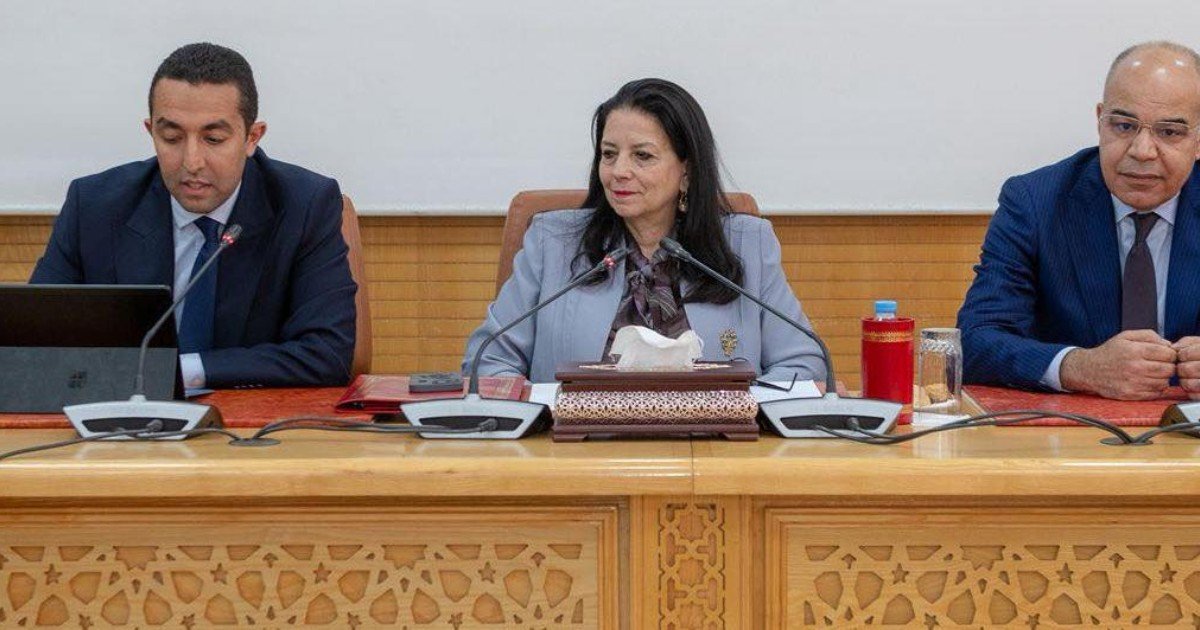Maroc. Avec Amine El Mezouaghi à sa tête, le gouvernement a-t-il signé l’arrêt de mort de l’ADD