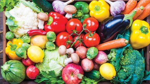 En quatre mois, le Maroc a exporté pour 729 millions de dollars de fruits et légumes vers l’Espagne