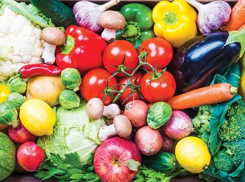 En quatre mois, le Maroc a exporté pour 729 millions de dollars de fruits et légumes vers l’Espagne