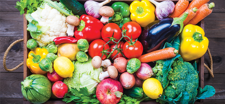 En Quatre mois, le Maroc a exporté pour 729 millions de dollars de fruits et légumes vers l’Espagne