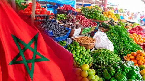 Un tiers des fruits et légumes importés par l’Espagne viennent désormais du Maroc