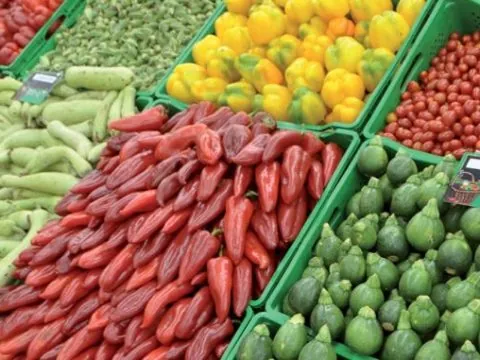 Les importations espagnoles de fruits et légumes marocains s’envolent : un boom qui inquiète sérieusement Madrid