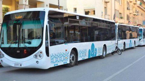 Exclusif. La justice saisit la flotte de City Bus Fès