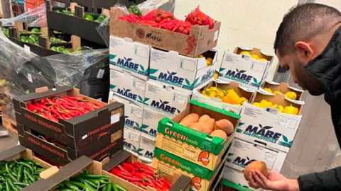 Espagne : 2,223 milliards d’euros d’importations agroalimentaires en provenance du Maroc en 2024