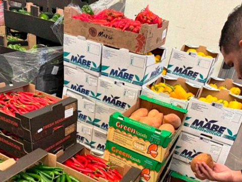 Espagne : 2,223 milliards d’euros d’importations agroalimentaires en provenance du Maroc en 2024