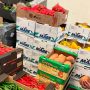 Espagne : 2,223 milliards d’euros d’importations agroalimentaires en provenance du Maroc en 2024
