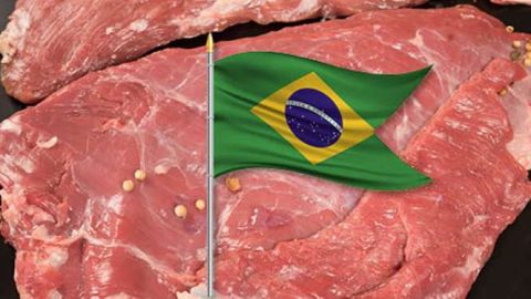 Le Maroc triple ses importations de viande bovine en provenance du Brésil