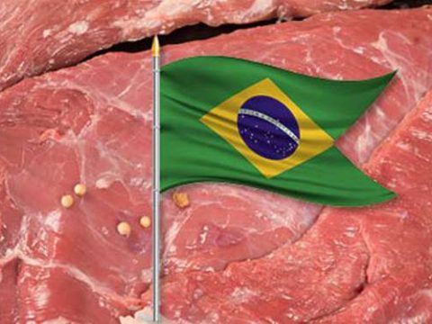 Le Maroc triple ses importations de viande bovine en provenance du Brésil