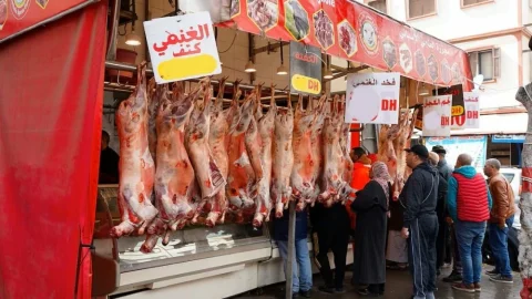 Jusqu’à 150 DH le kilo : la viande ovine hors de portée des Marocains alors que le gouvernement est dépassé