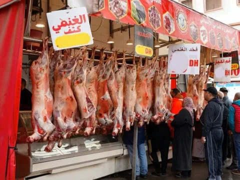 Jusqu’à 150 DH le kilo : la viande ovine hors de portée des Marocains alors que le gouvernement est dépassé