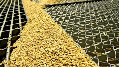 Exclusif. A Fès, les Moulins Lahbabi passent à la trappe