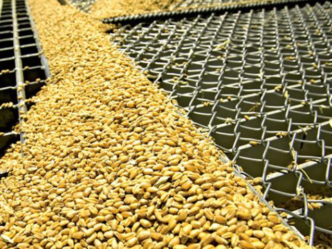 Exclusif. A Fès, les Moulins Lahbabi passent à la trappe