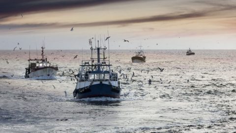 Souveraineté maritime. Aires marines, pêche et Sahara : le partenariat embarrassant de Zakia Driouich avec Global Fishing Watch