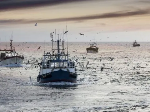 Souveraineté maritime. Aires marines, pêche et Sahara : le partenariat embarrassant de Zakia Driouich avec Global Fishing Watch