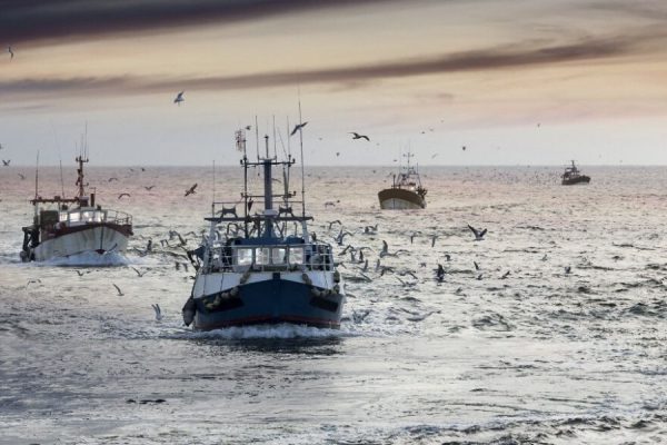 Souveraineté maritime. Aires marines, pêche et Sahara : le partenariat embarrassant de Zakia Driouich avec Global Fishing Watch