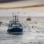 Souveraineté maritime. Aires marines, pêche et Sahara : le partenariat embarrassant de Zakia Driouich avec Global Fishing Watch