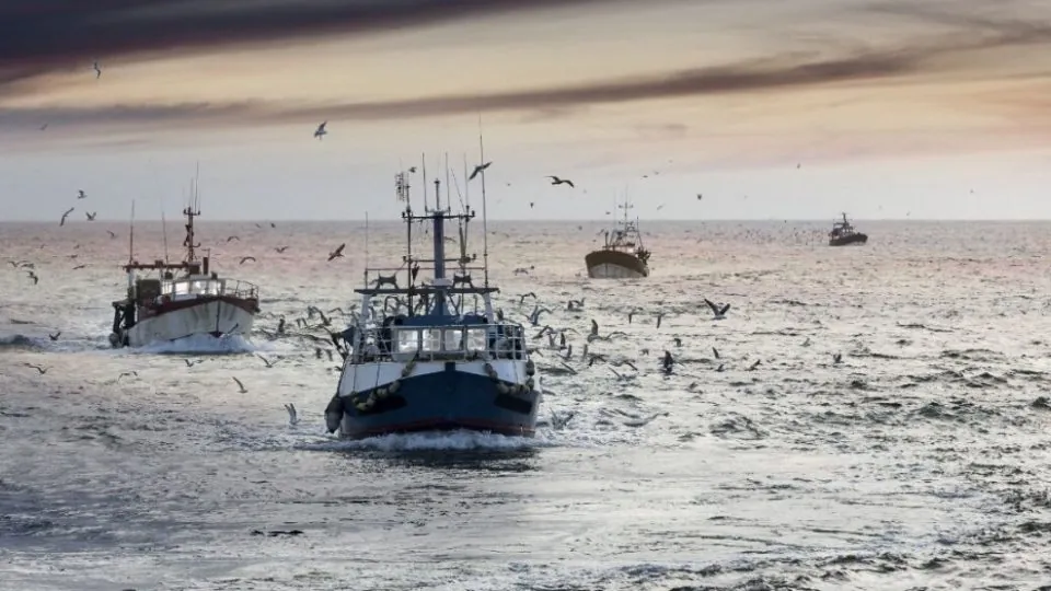 Souveraineté maritime. Aires marines, pêche et Sahara : le partenariat embarrassant de Zakia Driouich avec Global Fishing Watch