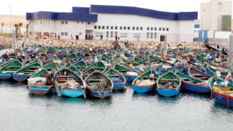 Exclusif. Produits de la mer : le Groupe Bicha prépare un complexe industriel à Boujdour