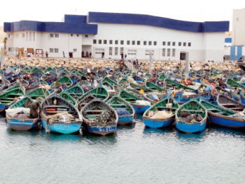 Exclusif. Produits de la mer : le Groupe Bicha prépare un complexe industriel à Boujdour