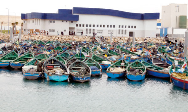 Exclusif. Produits de la mer : le Groupe Bicha prépare un complexe industriel à Boujdour