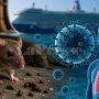 Hantavirus : le Maghreb et l’Afrique à l’écoute des alertes scientifiques depuis Marrakech