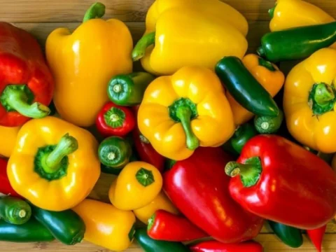 Poivrons doux : le Maroc s’affranchit des plateformes espagnoles et néerlandaises pour conquérir le marché scandinave