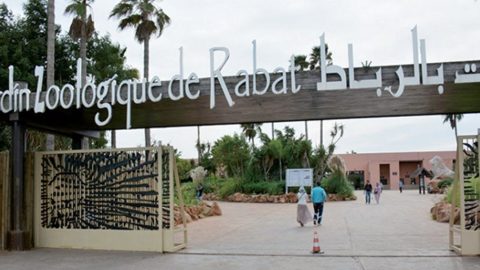 Maroc. Comment Salma Slimani a fait du zoo de Rabat un fiasco monumental