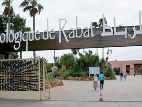 Maroc. Comment Salma Slimani a fait du zoo de Rabat un fiasco monumental