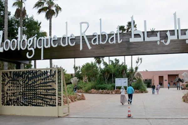 Maroc. Comment Salma Slimani a fait du zoo de Rabat un fiasco monumental